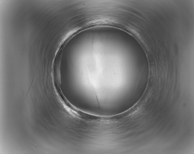 X0000061751034200512161711