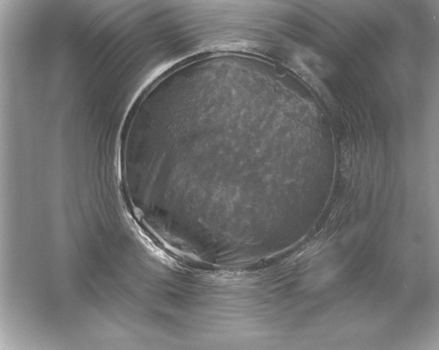 X0000061751036200512161711