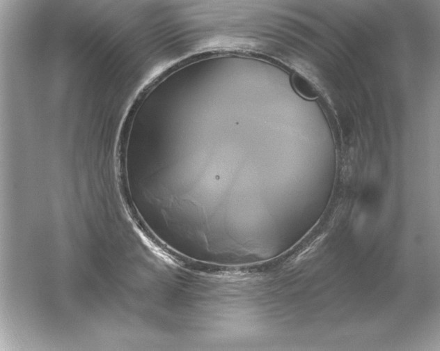 X0000061751037200512161711