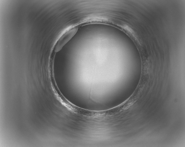 X0000061751038200512161711