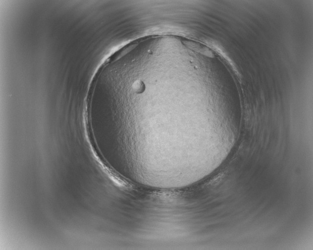 X0000061751040200512161711