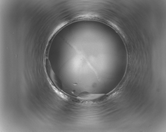 X0000061751042200512161711