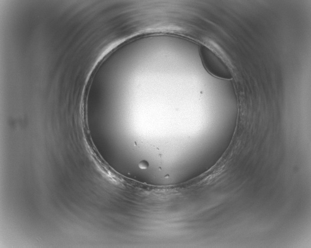 X0000061751044200512161711