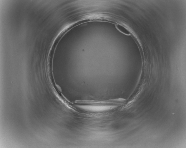 X0000061751045200512161711