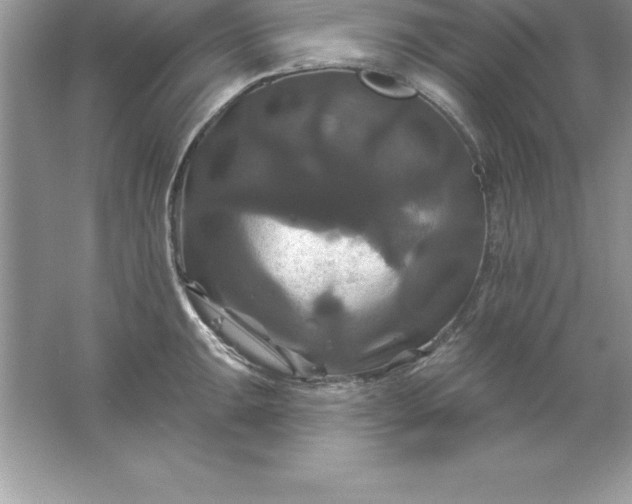 X0000061751047200512161711