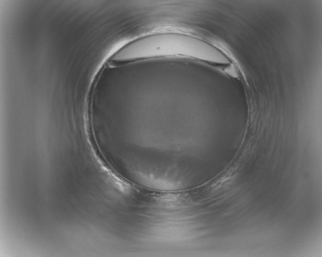 X0000061751048200512161711