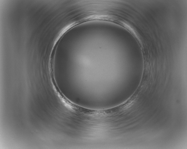 X0000061751050200512161711