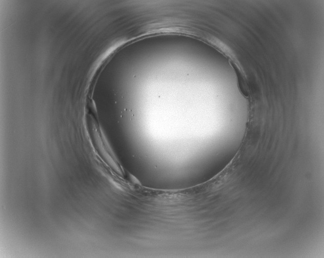 X0000061751051200512161711