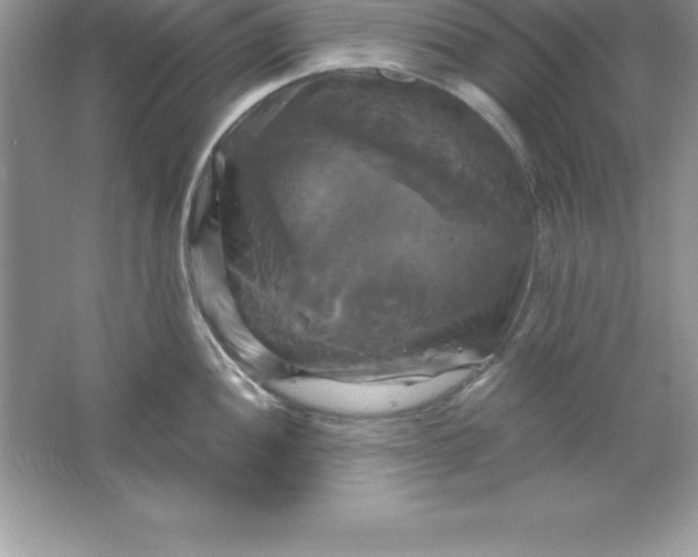 X0000061751052200512161711