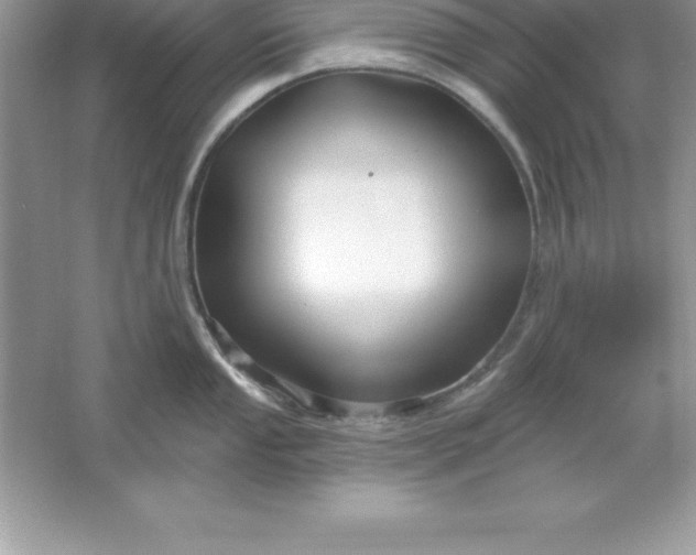 X0000061751053200512161711