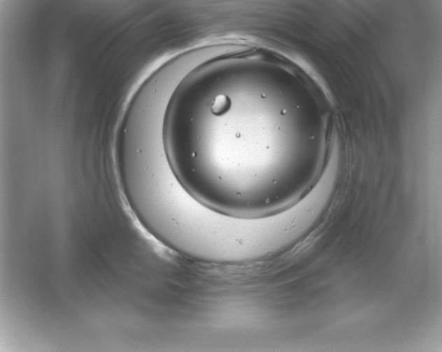 X0000061751054200512161711