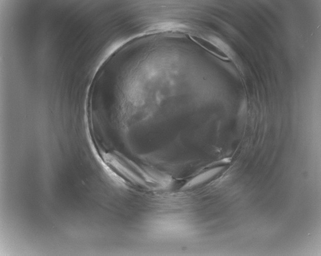 X0000061751055200512161711