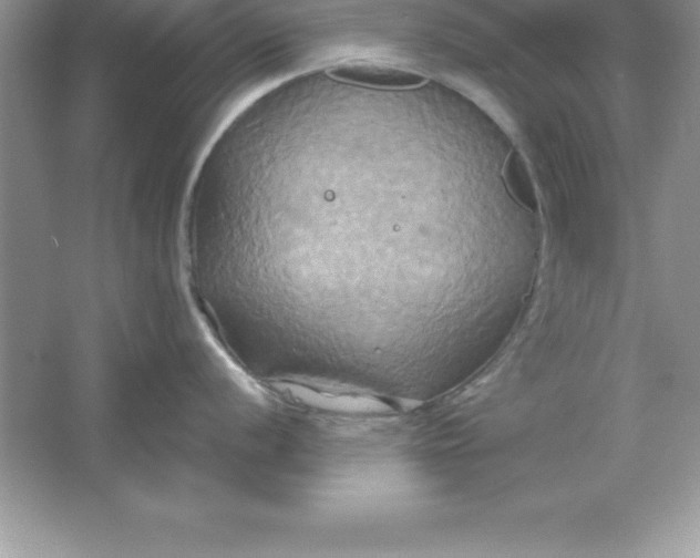 X0000061751056200512161712