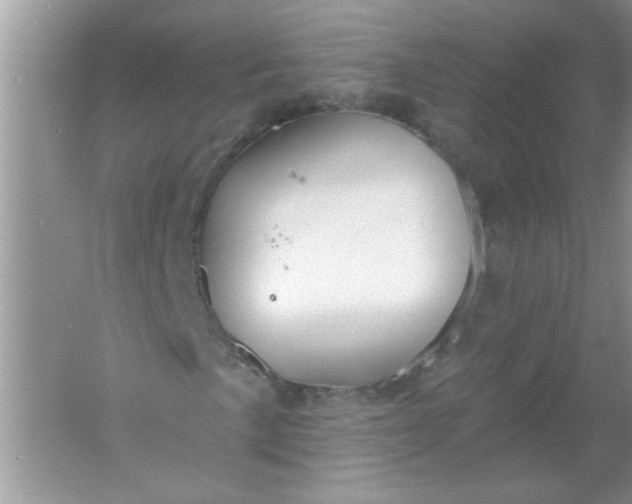 X0000061751057200512161711