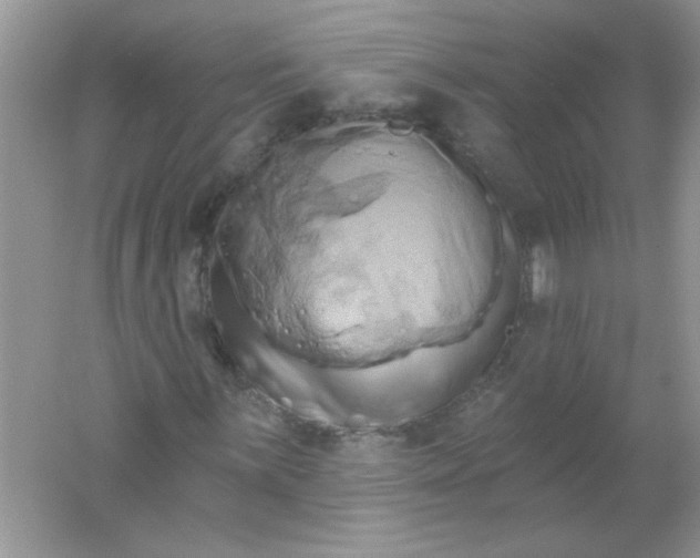 X0000061751059200512161711