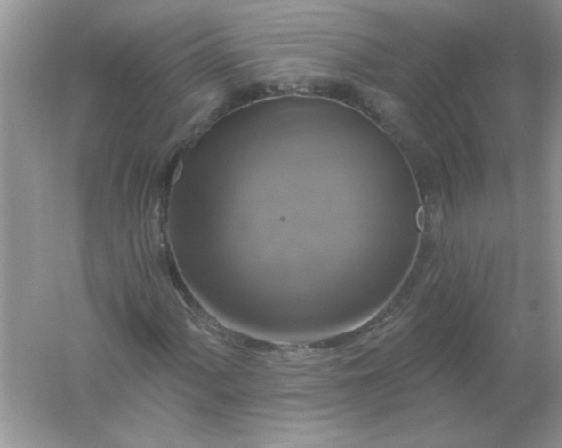 X0000061751060200512161711