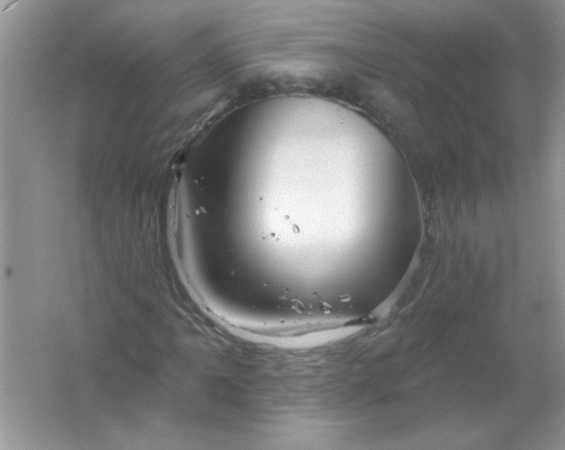 X0000061751061200512161711