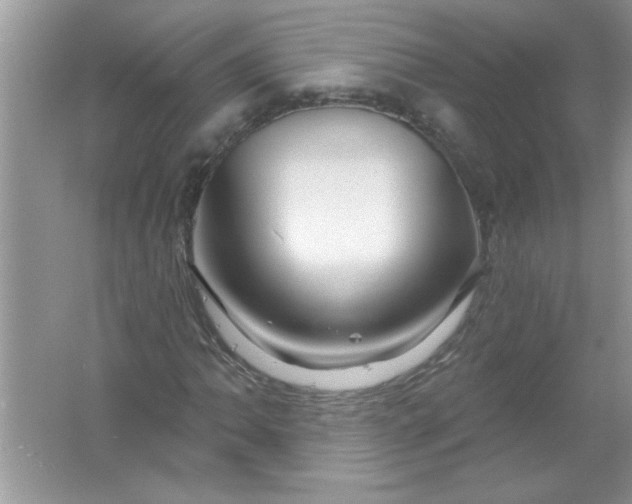 X0000061751062200512161711