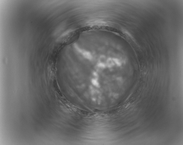 X0000061751063200512161711