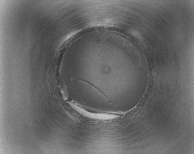 X0000061751064200512161711