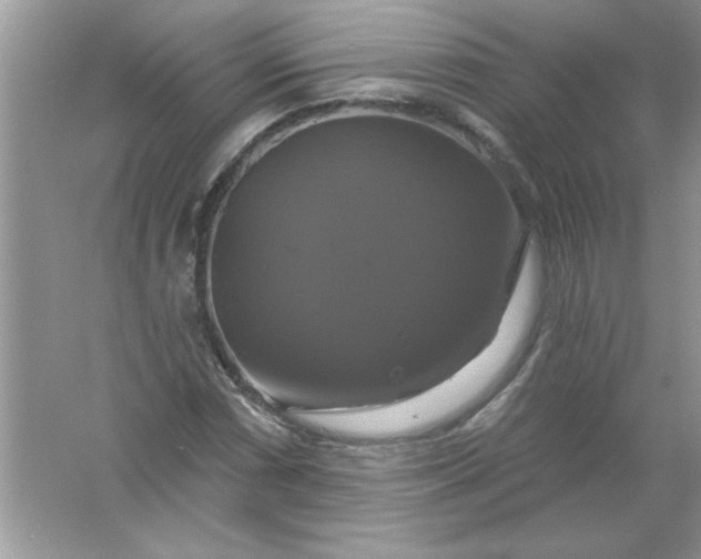 X0000061751066200512161711