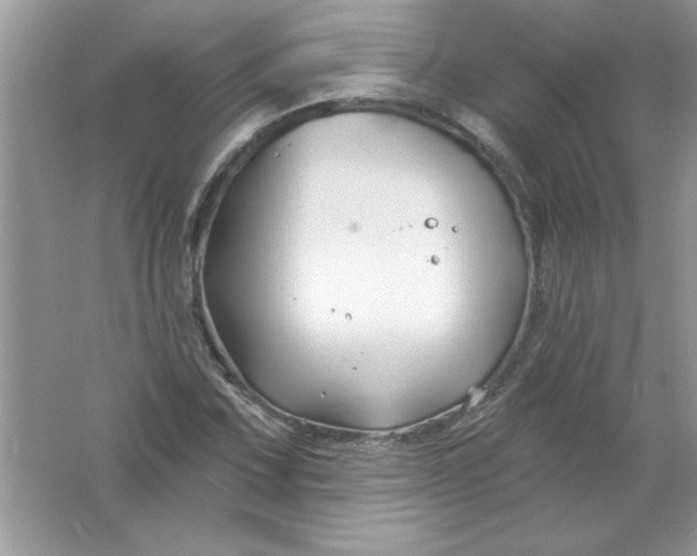 X0000061751067200512161711