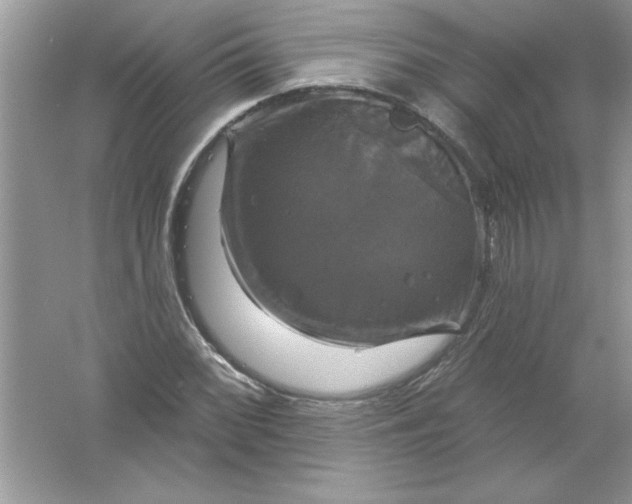 X0000061751068200512161710