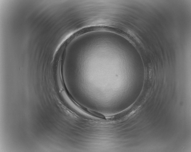 X0000061751069200512161710