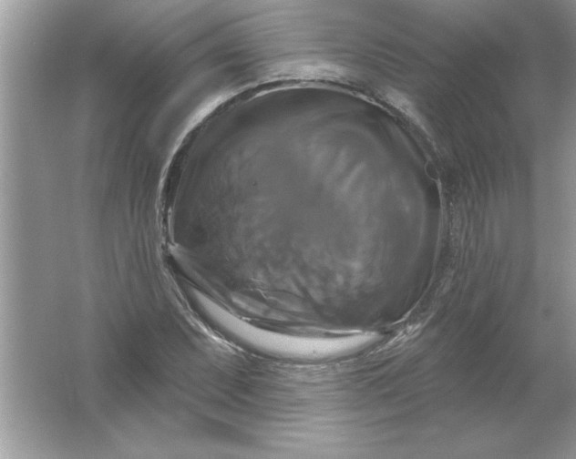 X0000061751071200512161710