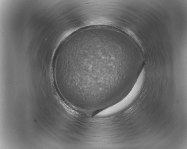 X0000061751072200512161710