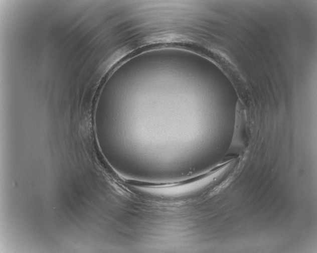 X0000061751073200512161710