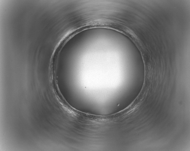 X0000061751075200512161710