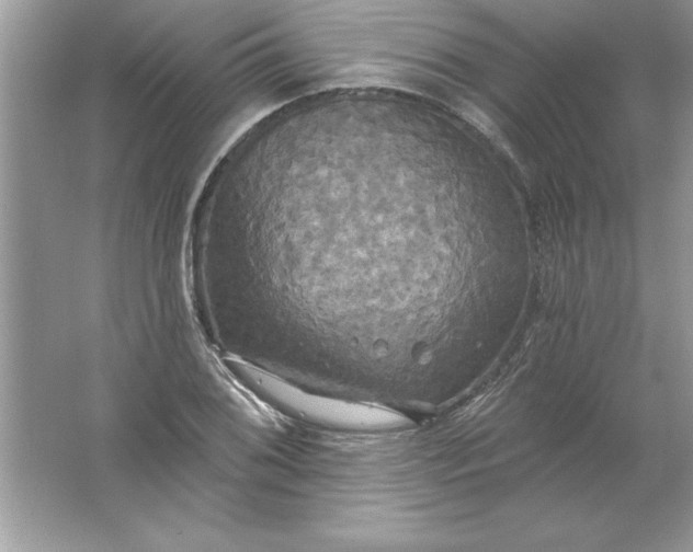 X0000061751076200512161710