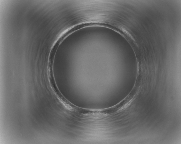 X0000061751077200512161710