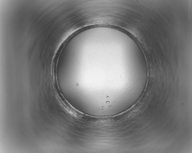 X0000061751078200512161710