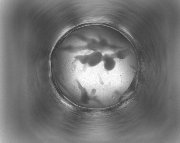 X0000061751079200512161710