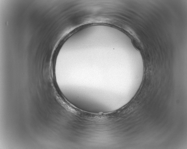 X0000061751080200512161710