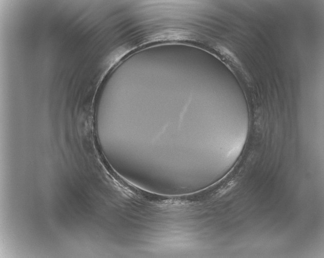 X0000061751081200512161710