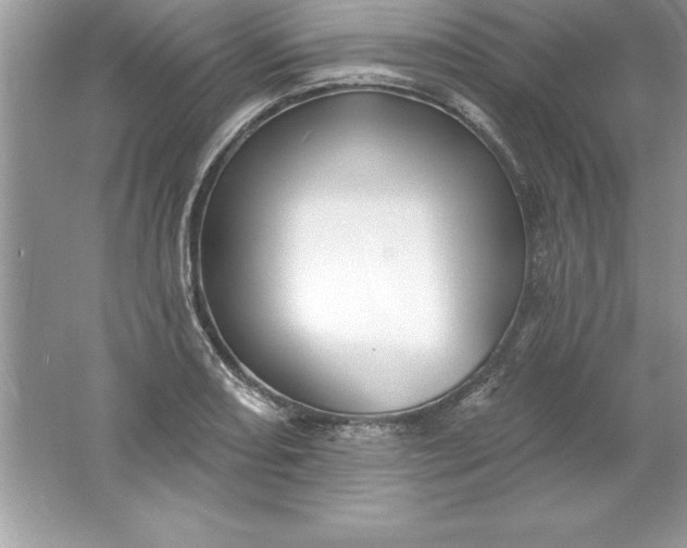 X0000061751082200512161710