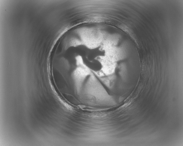 X0000061751083200512161710