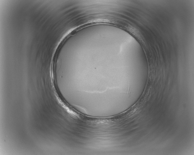 X0000061751084200512161710