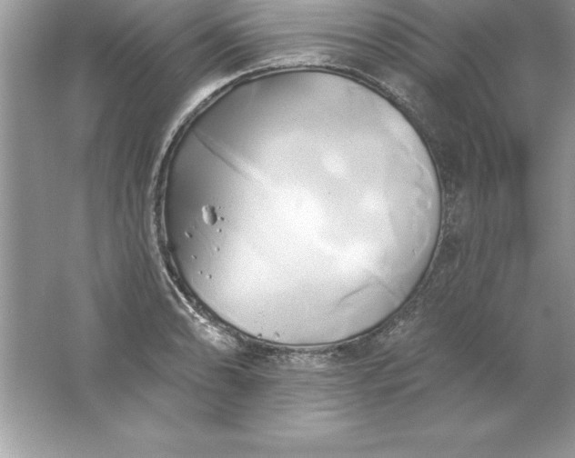 X0000061751086200512161710