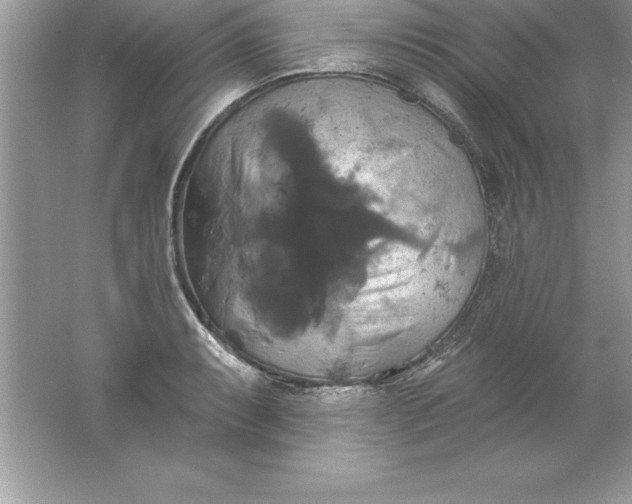 X0000061751087200512161710