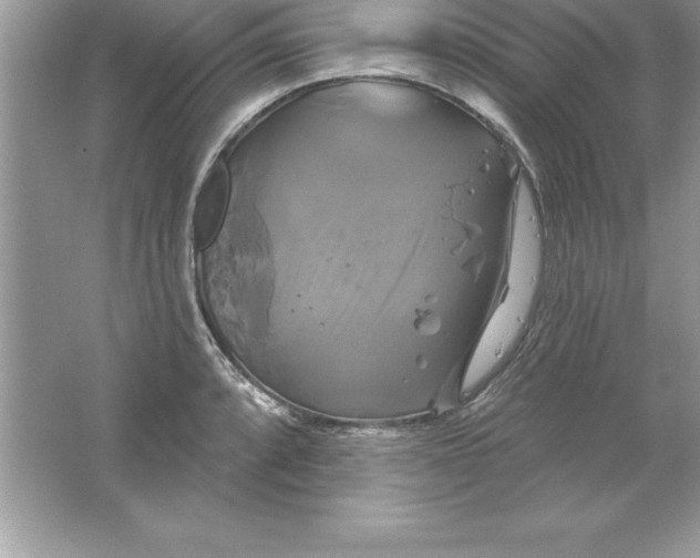 X0000061751088200512161710