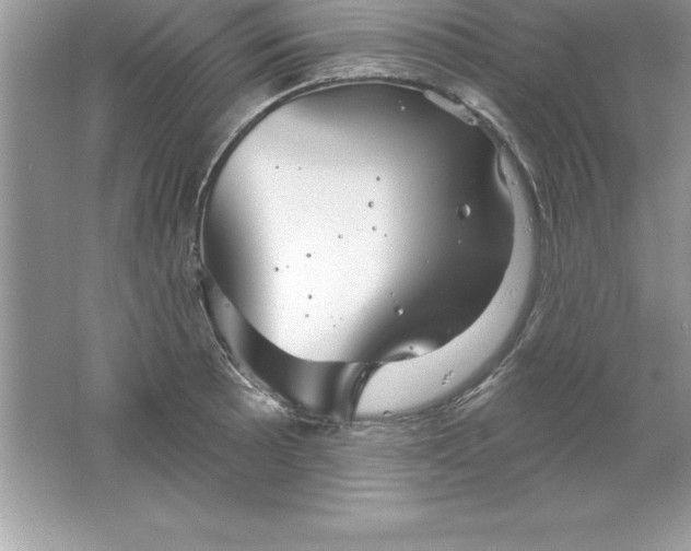 X0000061751089200512161710