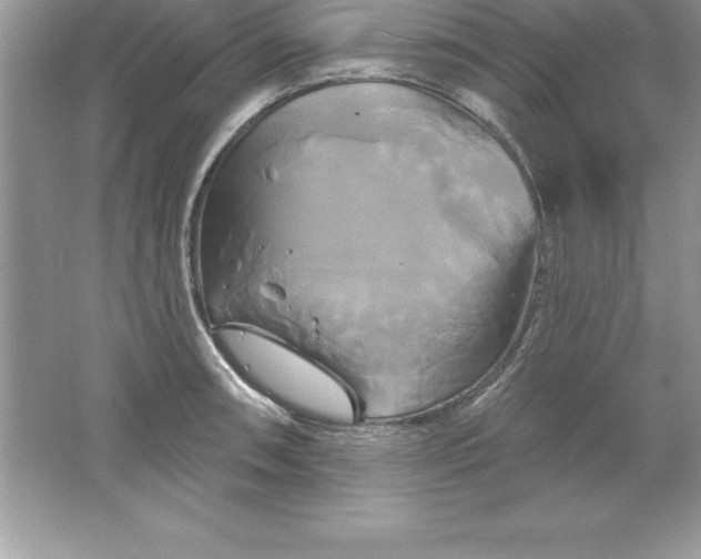 X0000061751090200512161710