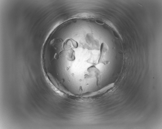 X0000061751091200512161710