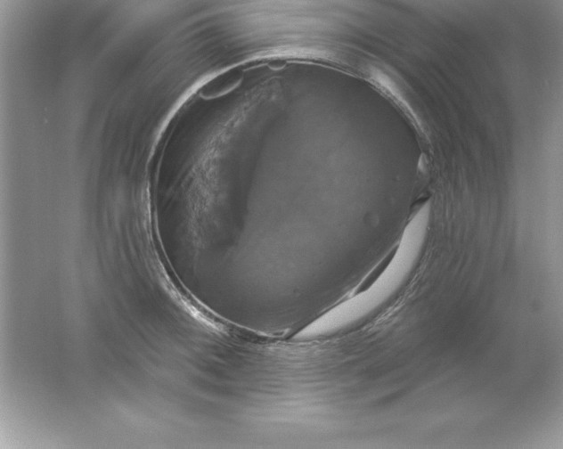 X0000061751092200512161710