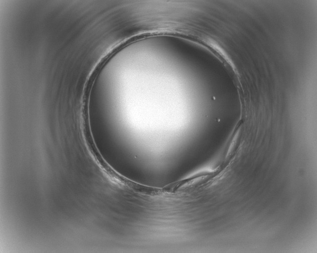 X0000061751093200512161710