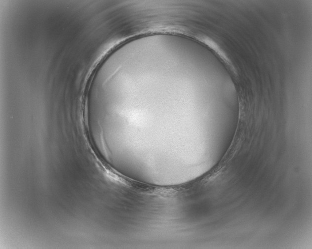 X0000061751094200512161710